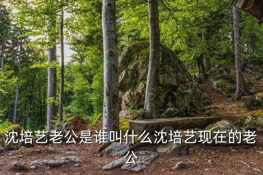 苏州舞蹈工作室,中国舞蹈家沈培艺:苏州新洲幼儿园很好