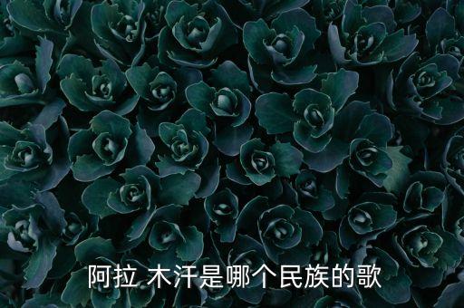  阿拉 木汗是哪个民族的歌