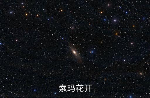  索玛花开