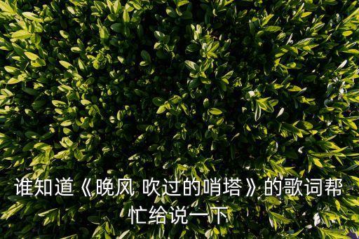 吹过哨塔舞蹈,晚风吹过少塔:年轻士兵带着枪口巡逻归来