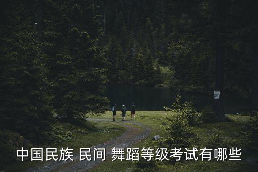 中国民间舞蹈考级,中国民族民间舞蹈考级四级