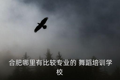  合肥哪里有比较专业的 舞蹈培训学校