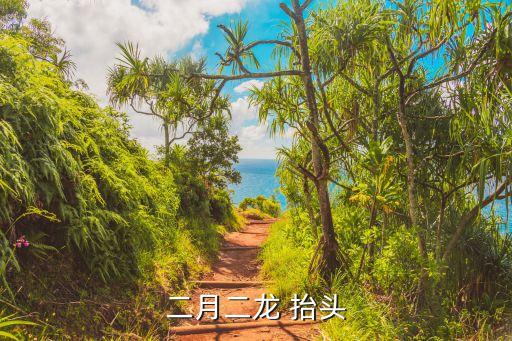 二月二龙 抬头