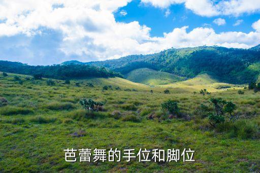 舞蹈中的脚的基本功,关键词:什么是正确姿势?