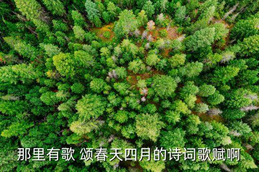 颂春舞蹈的歌是什么,你是人间四月天?