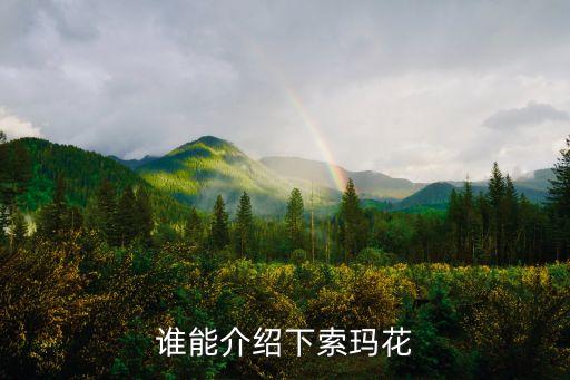 谁能介绍下索玛花