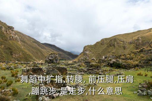 前压腿舞蹈视频五级,推拿绕腕、跳绳要求视频教学员!