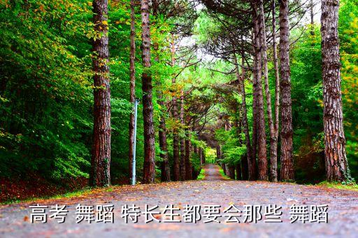 高考 舞蹈 特长生都要会那些 舞蹈