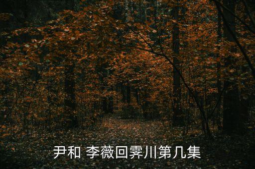 尹和 李薇回霁川第几集