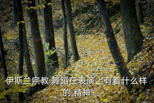 舞蹈精神有哪些,伊斯兰教舞蹈是不停旋转的奉献精神