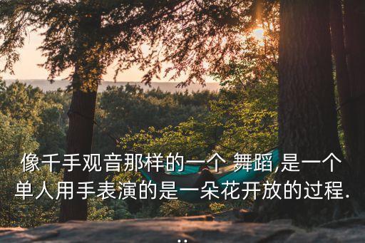 舞蹈 莲花心,《千手观音》舞台由21演员共同完成