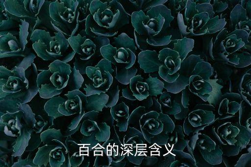  百合的深层含义