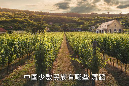 吉祥是哪个族的舞蹈,中国民间舞蹈欣赏（一）:民间歌舞