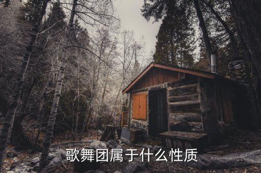 九江歌舞团舞蹈学校,中央歌舞团招聘流程一文看懂