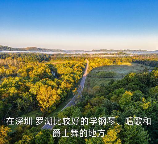 在深圳 罗湖比较好的学钢琴、唱歌和爵士舞的地方