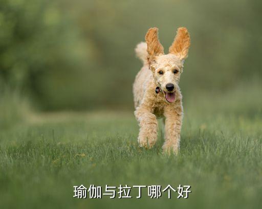 体育舞蹈和瑜伽哪个好,瑜伽源自印度探索梵我合一