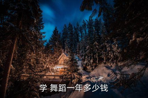 学 舞蹈一年多少钱
