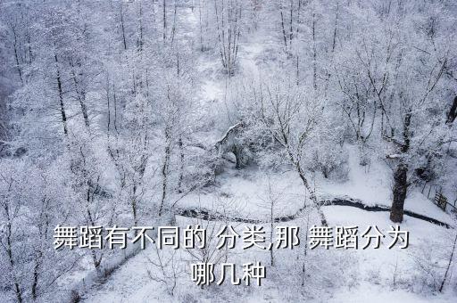 摩登舞分类舞蹈,2.art舞蹈风格多元包括古典芭蕾等
