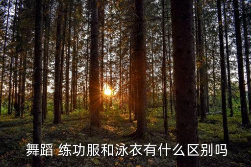 舞蹈练功服上衣,体操服和舞蹈练功服装最佳组合是舞蹈鞋袜