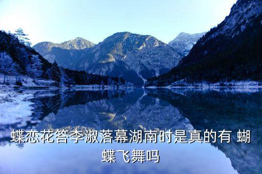 蝴蝶怎么飞舞蹈,为什么不早点填好这首歌?