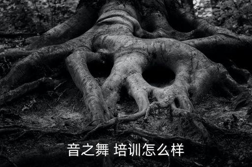音之舞 培训怎么样