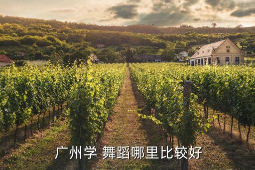  广州学 舞蹈哪里比较好