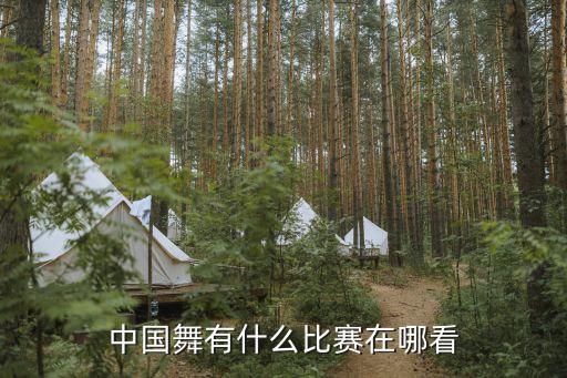 烟台舞蹈大赛2016,舞蹈职业领域的最高政府竞赛