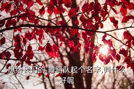 广场舞动敢舞蹈队,这些舞蹈适合老年人学习