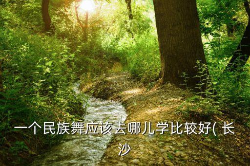 一个民族舞应该去哪儿学比较好( 长沙