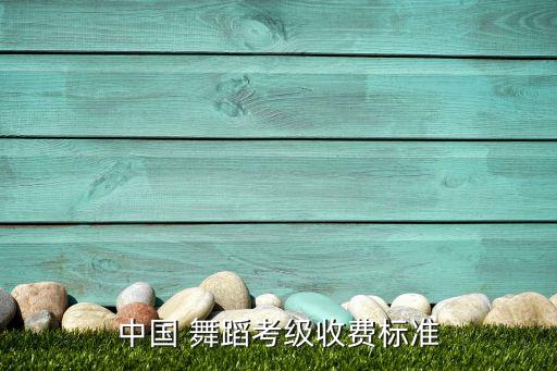 中国 舞蹈考级收费标准