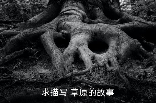 舞蹈啊草原讲述了什么,舞蹈缘分让我们在草原相遇