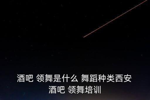  酒吧 领舞是什么 舞蹈种类西安 酒吧 领舞培训