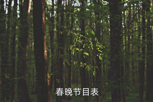 广东舞蹈学校春晚,《春潮颂》舞蹈一带嘉年华开场歌舞