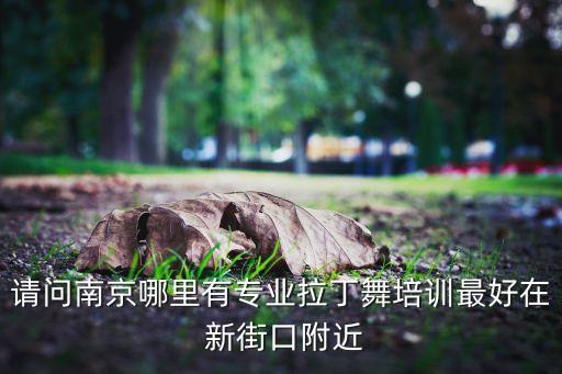 请问南京哪里有专业拉丁舞培训最好在 新街口附近
