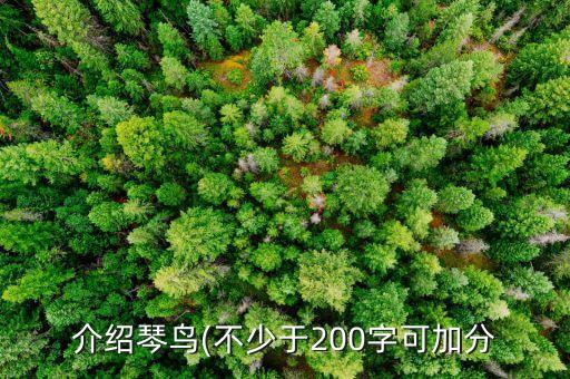 介绍琴鸟(不少于200字可加分