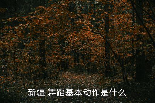 新疆 舞蹈基本动作是什么