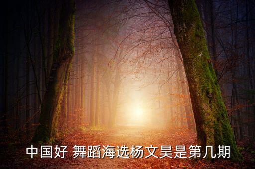 中国好舞蹈0416期,中国好舞蹈第三期杨文昊参与编排