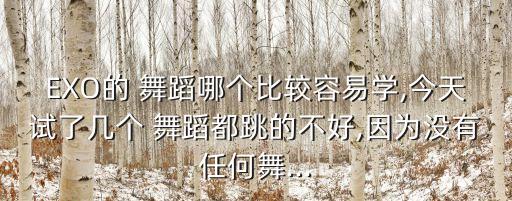 EXO的 舞蹈哪个比较容易学,今天试了几个 舞蹈都跳的不好,因为没有任何舞...