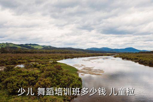 少儿 舞蹈培训班多少钱 儿童拉