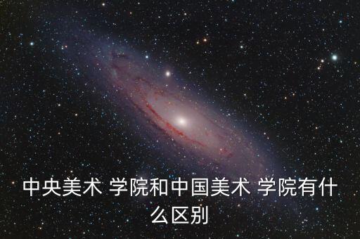 中央美术 学院和中国美术 学院有什么区别
