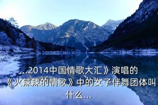 ...2014中国情歌大汇》演唱的《火辣辣的情歌》中的女子伴舞团体叫什么...