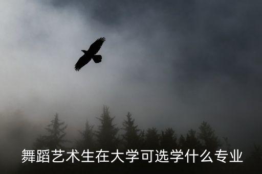 关于舞蹈艺体,我是艺体生而非舞蹈专业者