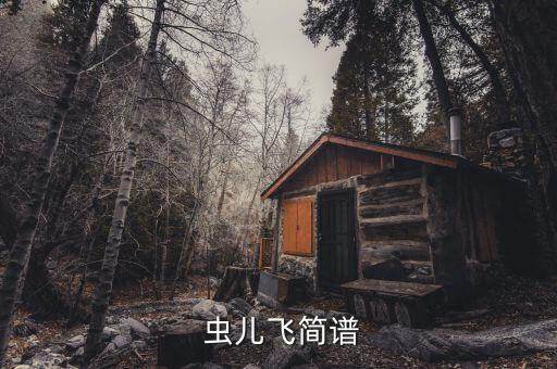 虫儿飞舞蹈儿童视频大全,鸟儿飞翔这首歌是关于爱情的歌词