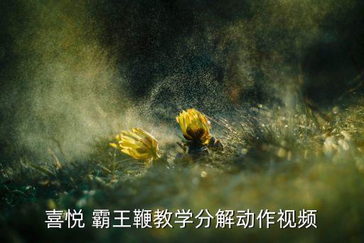 喜悦 霸王鞭教学分解动作视频