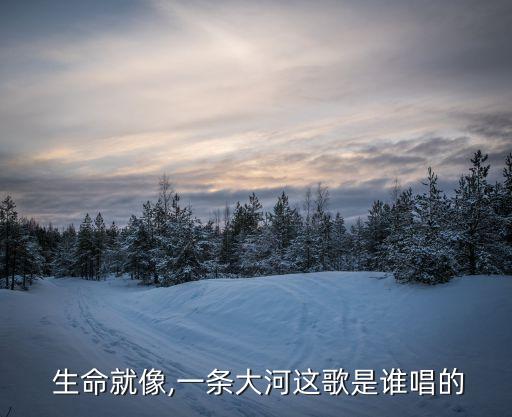生命的河舞蹈,《飞得更高》歌词出自《生命喜欢，一条大河》