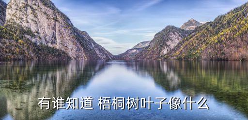 有谁知道 梧桐树叶子像什么