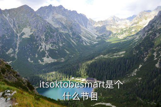  itsoktobesmart是个什么节目