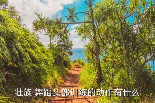 壮族 舞蹈头部训练的动作有什么