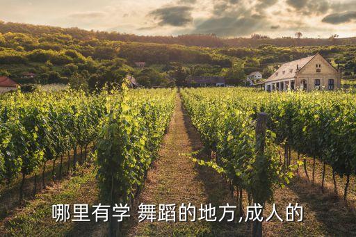 哪里有学 舞蹈的地方,成人的