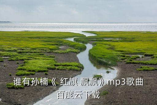 谁有孙楠《 红旗 飘飘》mp3歌曲百度云下载